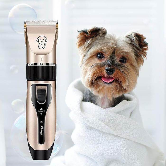 dog-grooming-kit.jpg