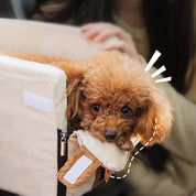 Portable travel basket for small dogs - TravelBuddy
