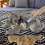 Double -sided hair removal comb for pets - Smoothgoom
