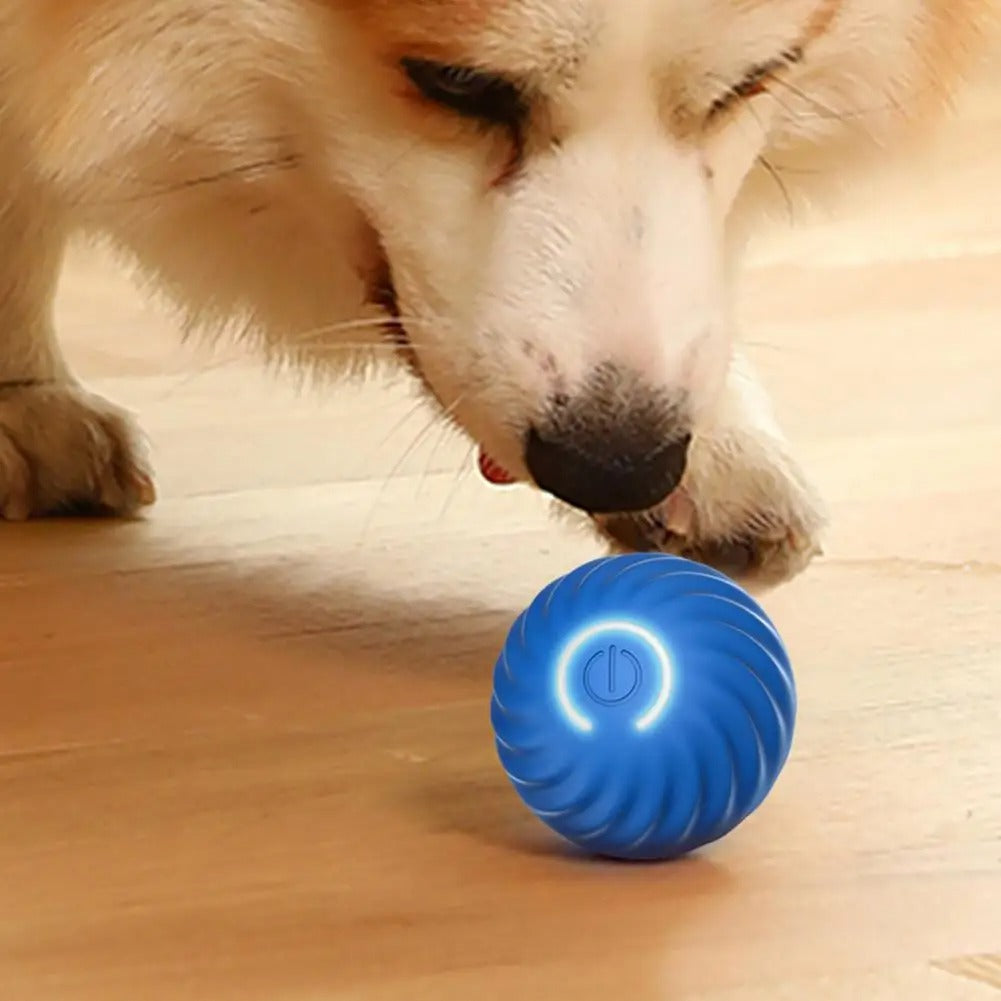 Automatic interactive dogs toy - Rolliplay