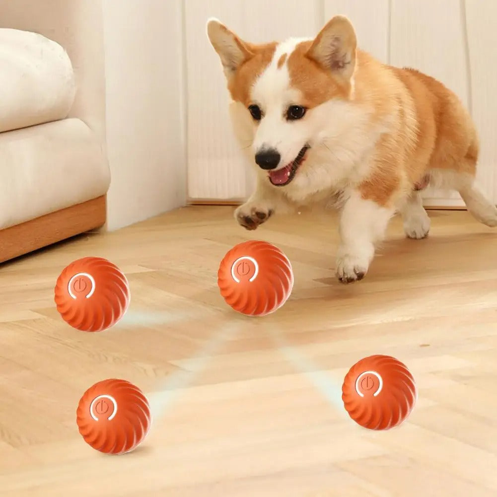 Automatic interactive dogs toy - Rolliplay