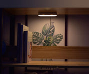 Serene | Energy-Saving & Convenient Motion Sensor Wall light