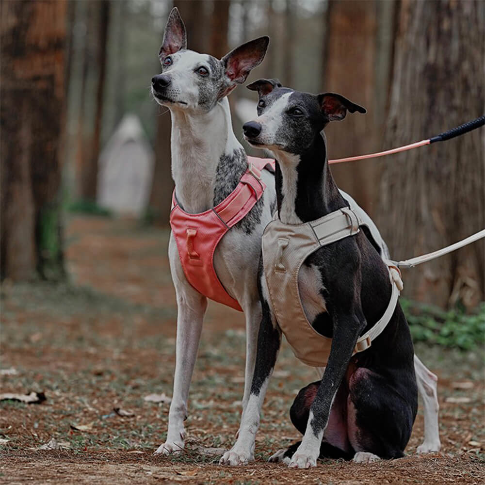 Anti-Trek dog harness with multi-functional belt-Aquacool