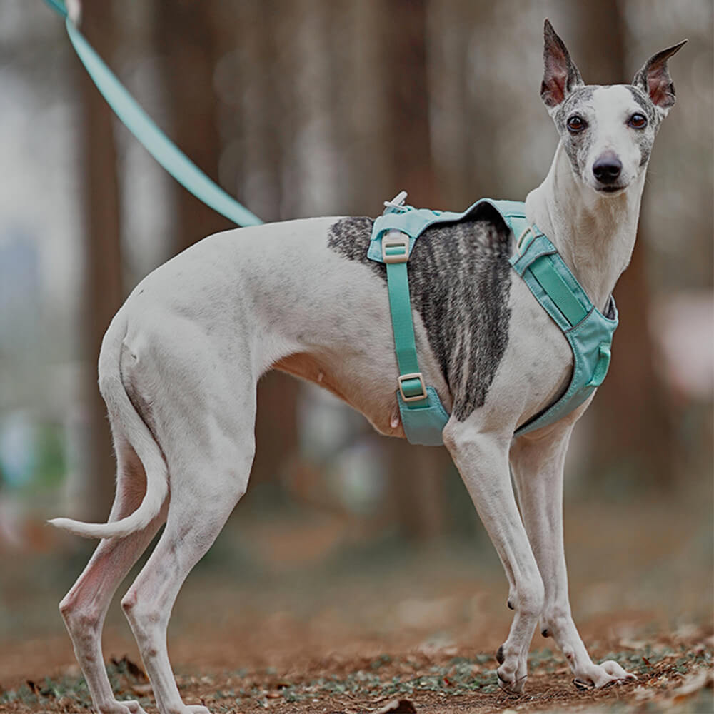 Anti-Trek dog harness with multi-functional belt-Aquacool