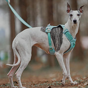 Anti-Trek dog harness with multi-functional belt-Aquacool