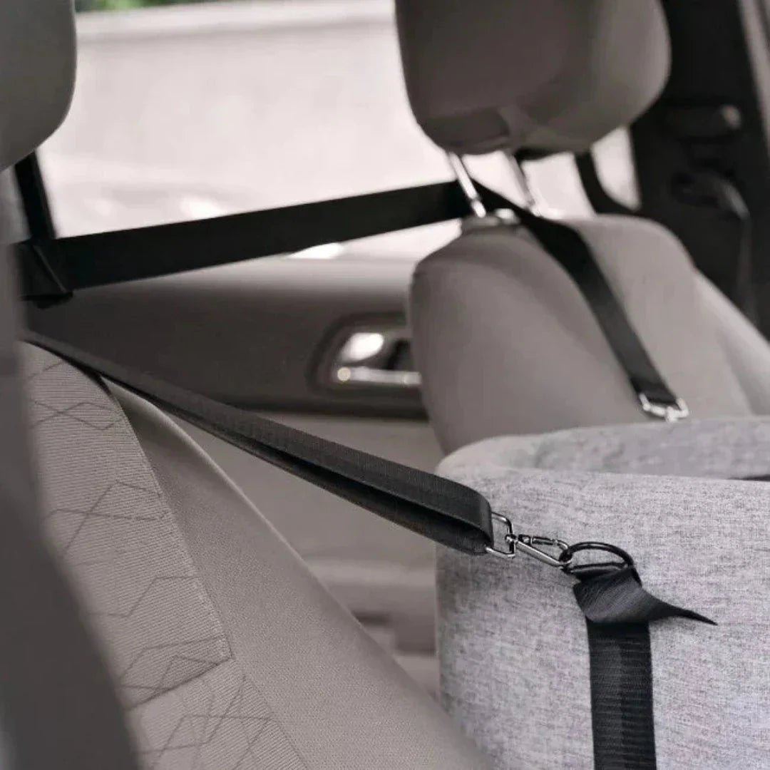 Carpool seat for pets - Pawvoyage