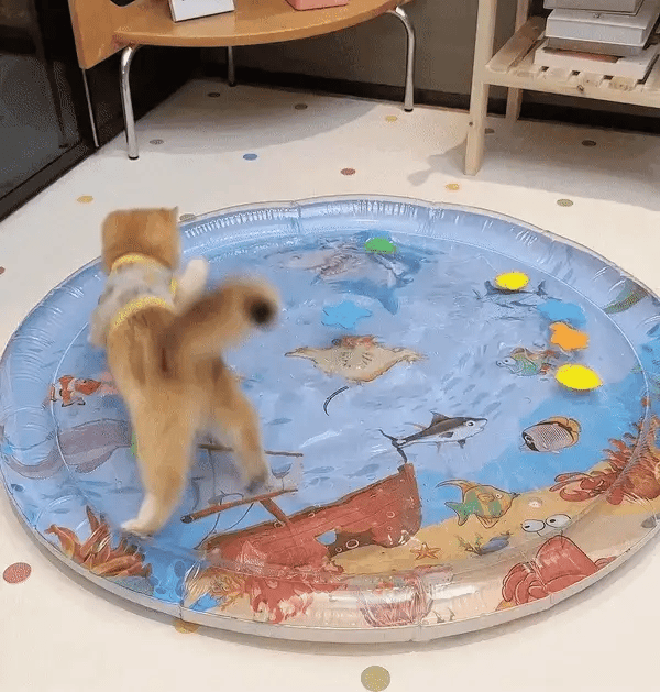 Interactive Cats Speelmat - Purrpulse