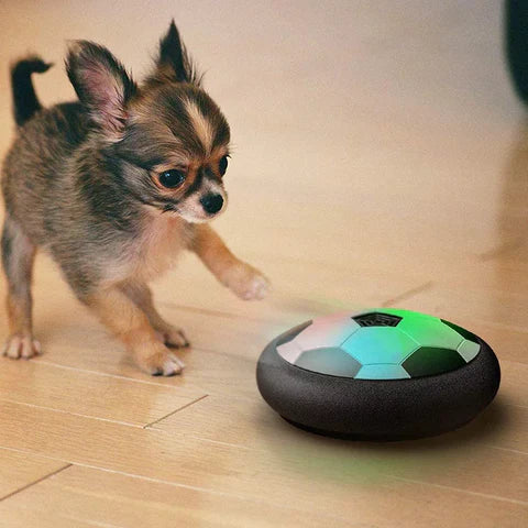 Interactive football toys for dogs - Playball Pro