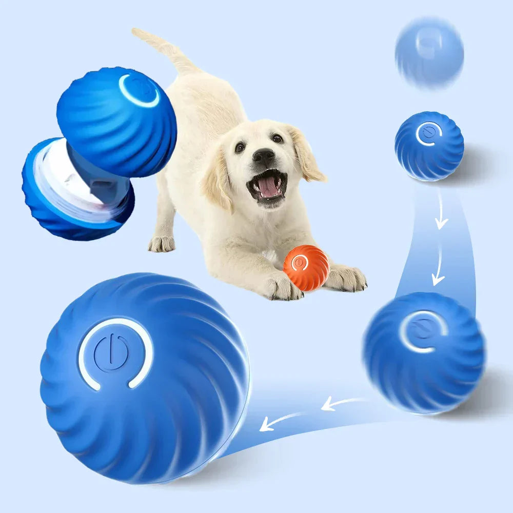 Automatic interactive dogs toy - Rolliplay