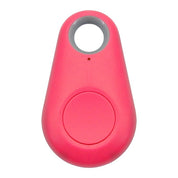 Pet GPS Tag - Pawfinder