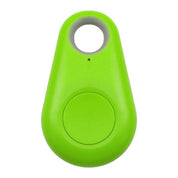 Pet GPS Tag - Pawfinder