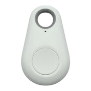 Pet GPS Tag - Pawfinder