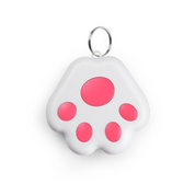 Pet GPS Tag - Pawfinder