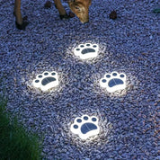 Wireless Solar Pootprint Garden Lighting - Pawsglow