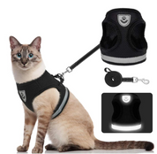 Cat harness with line - Adventure kit