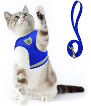 Cat harness with line - Adventure kit
