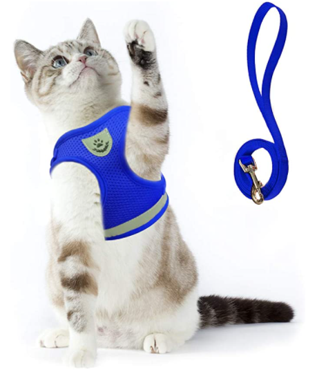 Cat harness with line - Adventure kit