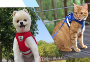 Cat harness with line - Adventure kit