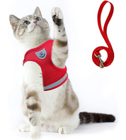 Cat harness with line - Adventure kit