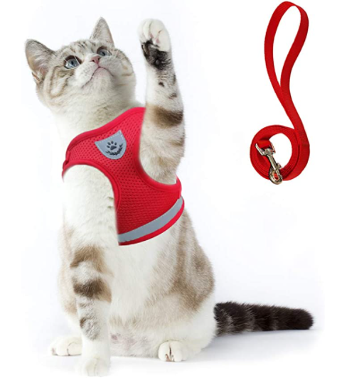 Cat harness with line - Adventure kit