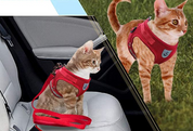 Cat harness with line - Adventure kit
