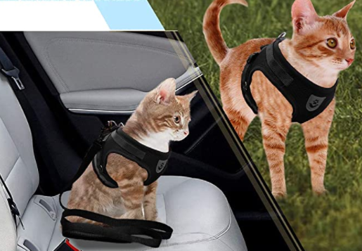 Cat harness with line - Adventure kit