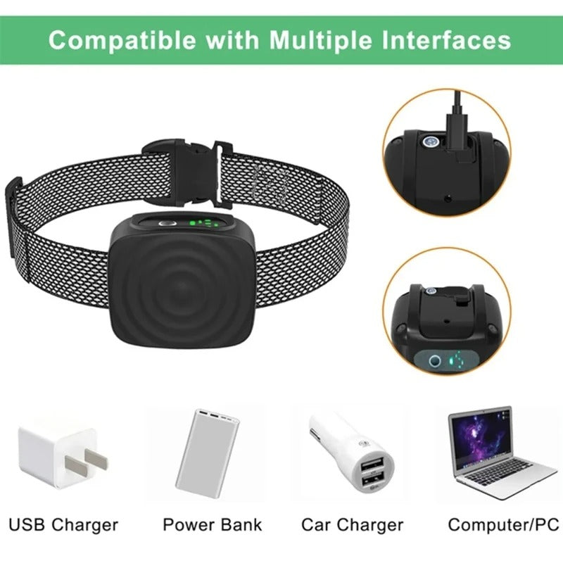 Anti-bark collar for small dogs
