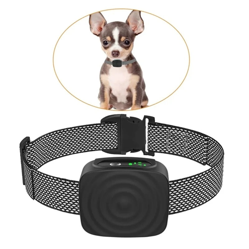 Anti-bark collar for small dogs