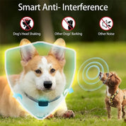 Anti-bark collar for small dogs