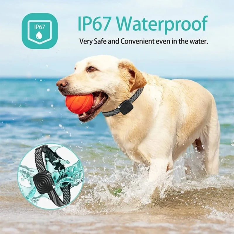 Anti-bark collar for small dogs