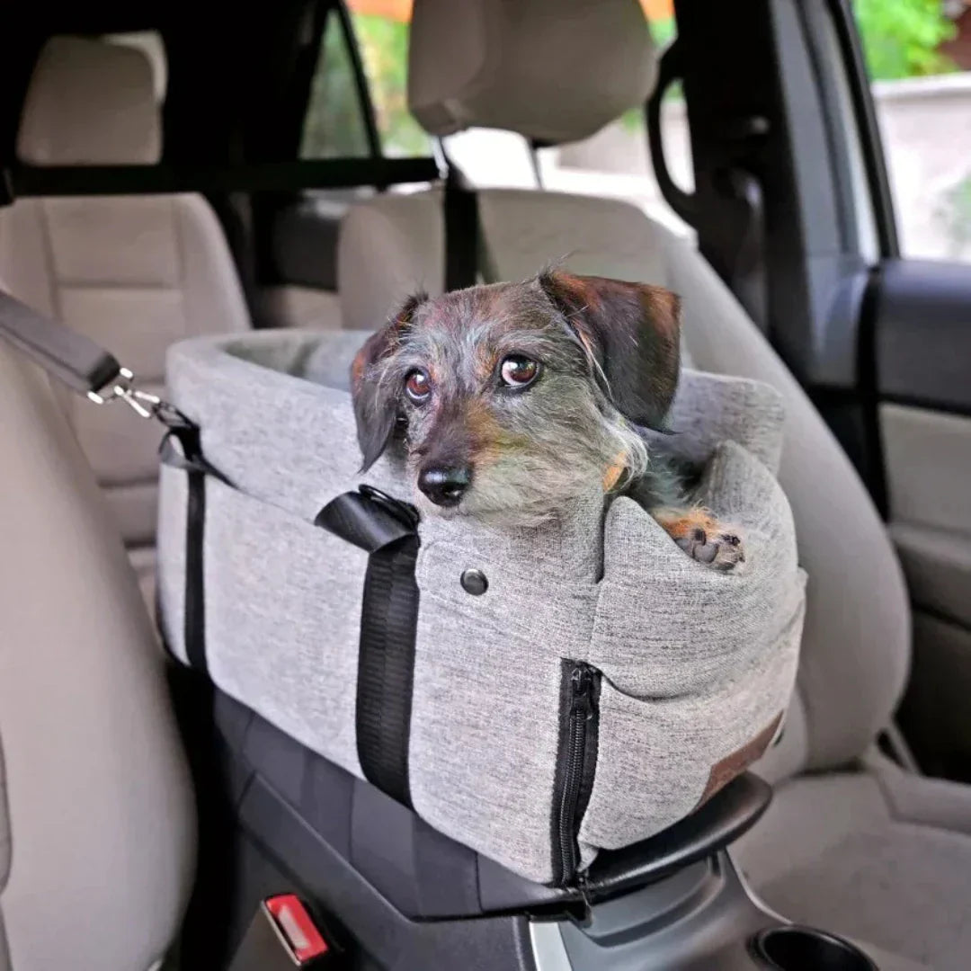 pawseat-details-desktop.webp