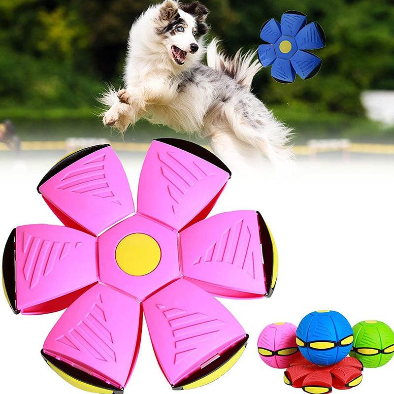 Magic flying dish ball (1+1 free) - Magicfly