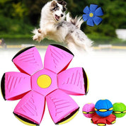 Magic flying dish ball (1+1 free) - Magicfly