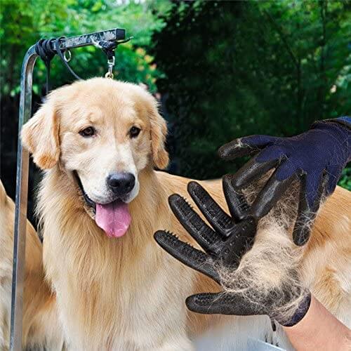 Pet hair removal glove