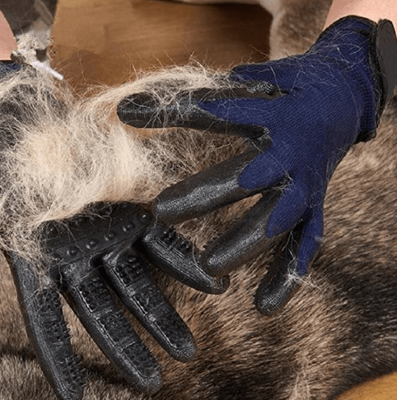 Pet hair removal glove