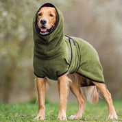Pet bathrobe