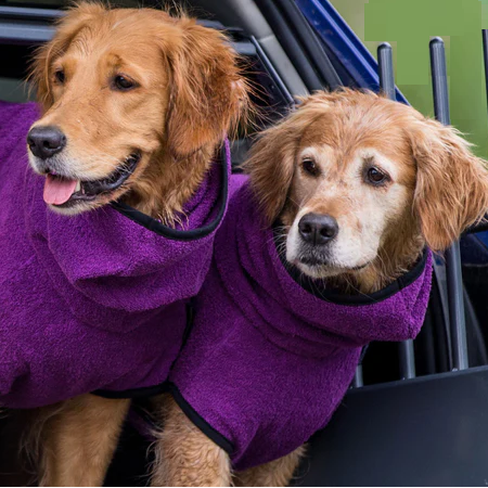 Pet bathrobe