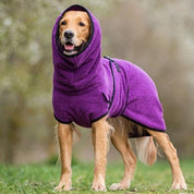 Pet bathrobe