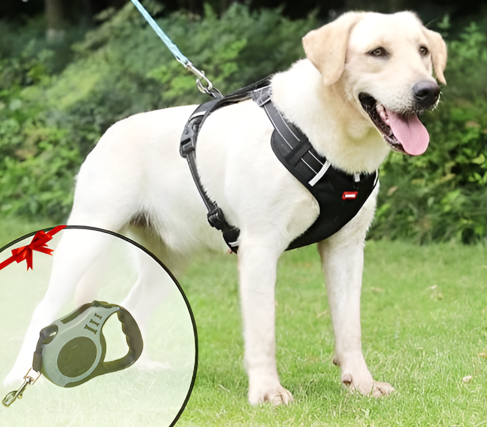 Anti -pull dog harness - Flexifit