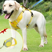 Anti -pull dog harness - Flexifit