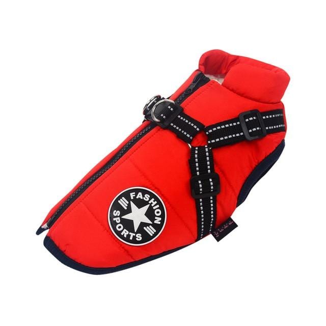 product-image-1497923439_9ae86b1d-89a1-4454-aede-88118db6c81d.jpg