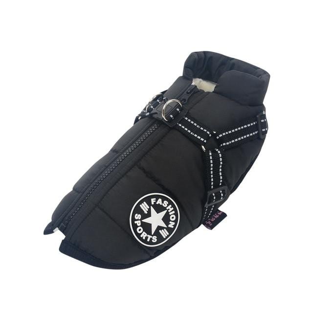 product-image-1497923442_578a462b-ec4c-49a2-b230-d791cf593a5a.jpg