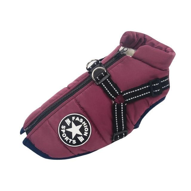 product-image-1497923443_2d5db626-8774-44ab-aaff-63f52a921023.jpg