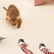 Cats Hunting Play - Slitherplay