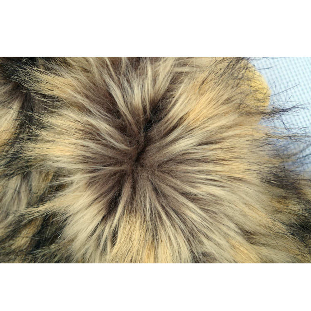 Lions for your cat - Lionpaws