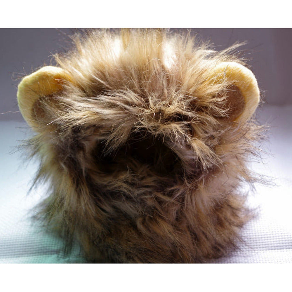 Lions for your cat - Lionpaws