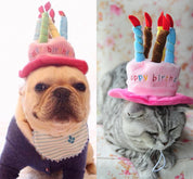 Birthday hat for dogs and cats - Partypaws