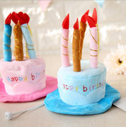 Birthday hat for dogs and cats - Partypaws
