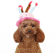 Birthday hat for dogs and cats - Partypaws