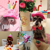 Birthday hat for dogs and cats - Partypaws